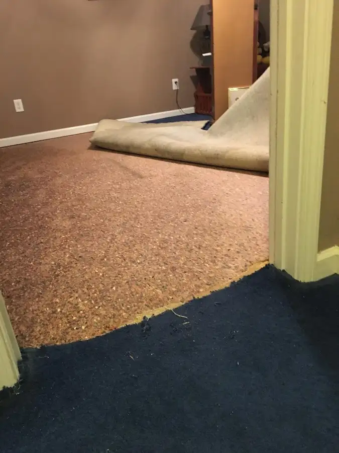 Carpet pad removal revealing water damage during Water Mitigation Services in Albuquerque