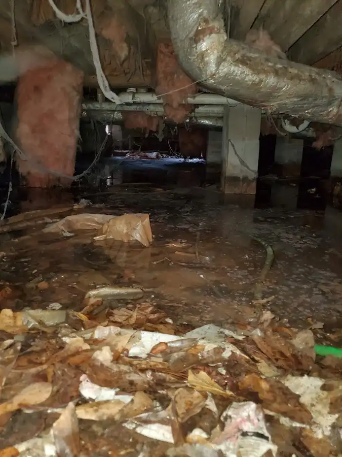 Crawl space flood assessment for Commercial Water Damage Restoration in Albuquerque